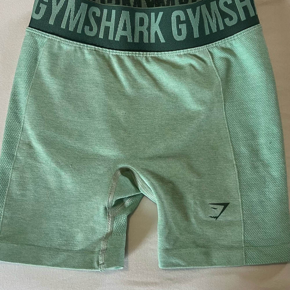 Gymshark Mint Activewear Shorts